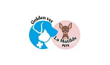 Golden Vet- Manizales